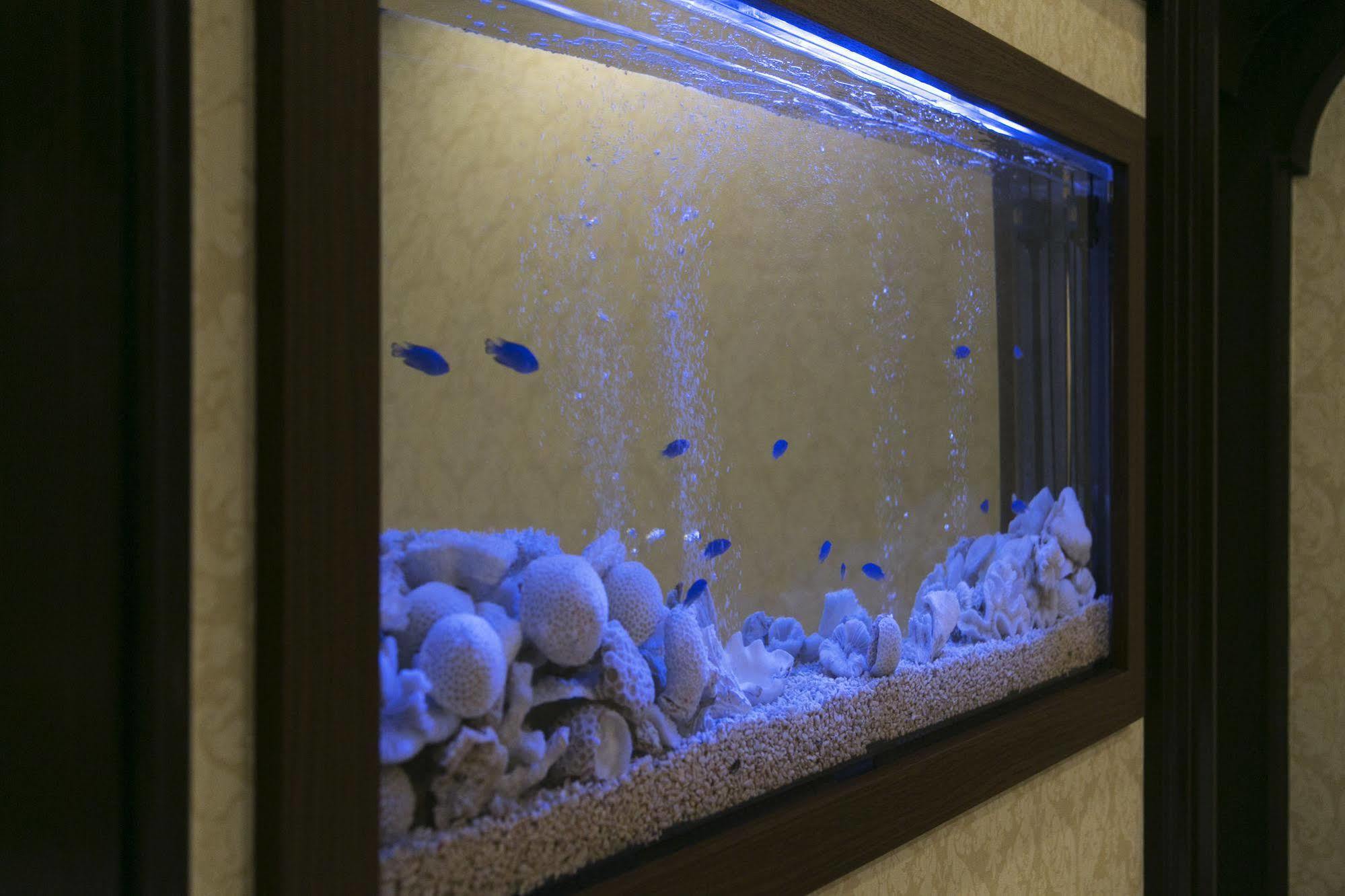 Hotel Atlantis Toyonaka (Adults Only) Luaran gambar